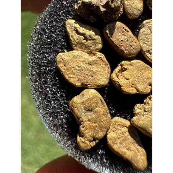 California Gold Nuggets Lot 5.45 grams - Picture 4 of 6